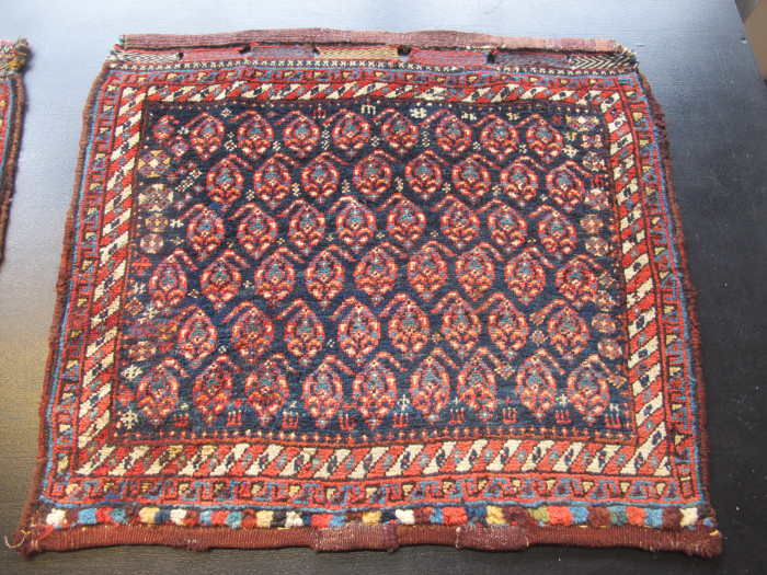 A Pair of Luri Bagfaces